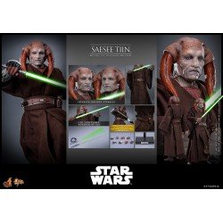 Star Wars, épisode III : La Revanche des Sith figurine Movie Masterpiece 1/6 Saesee Tiin 31 cm | 4895228622266