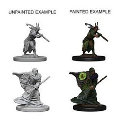 WizKids - D&D Nolzur's Marvelous - Miniature Painting - Elf Druid | 634482726419