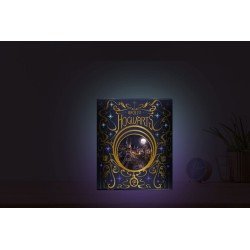 Harry Potter lampe Back to Poudlard | 5056563719533