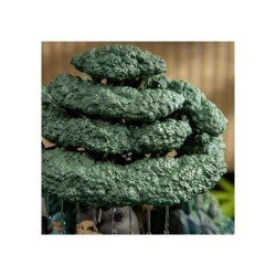 Mon voisin Totoro statuette Magnet Water Garden Kasajuku 24 cm | 4990593421176