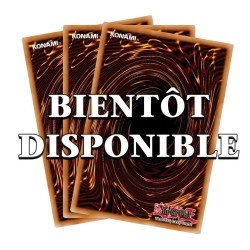 CARTES A JOUER ET A COLLECTIONNER | MagicFranco 