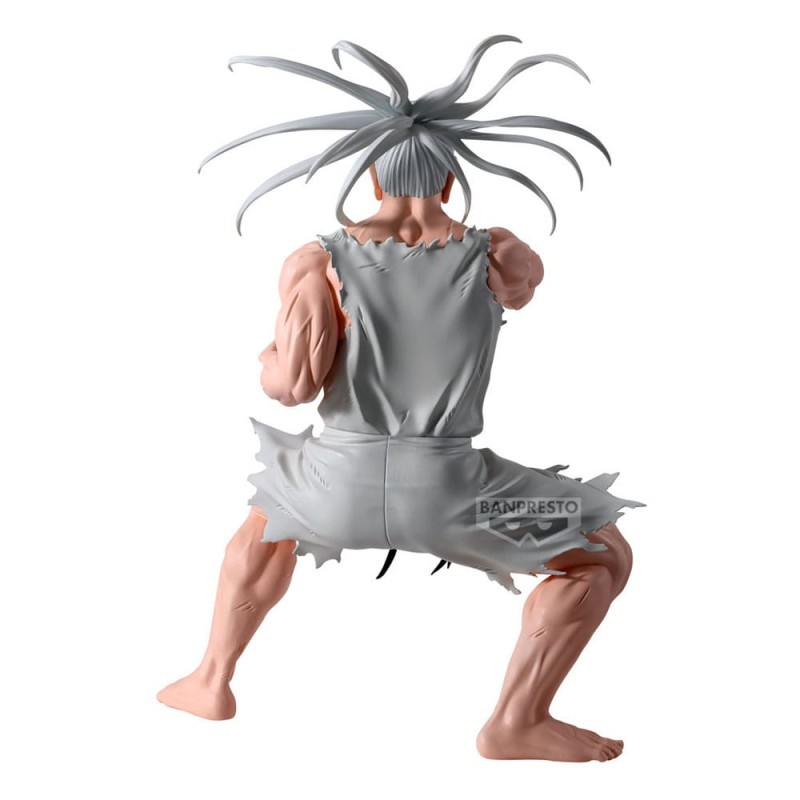 Hunter X Hunter statuette PVC Hunting Archives Netero 18 cm | 4573102696151