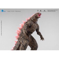 Godzilla x Kong The New Empire figurine Exquisite Basic Heat Ray Godzilla Evolved Ver. 18 cm | 6957534205309
