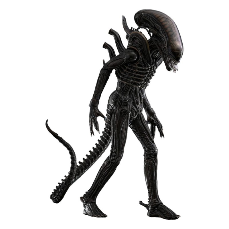 Alien figurine Movie Masterpiece 1/6 Big Chap 36 cm | 4895228622556