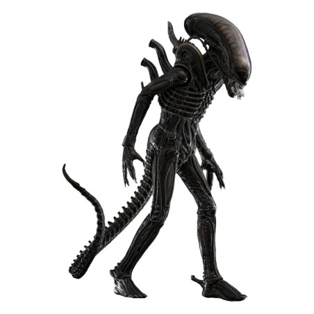 Alien figurine Movie Masterpiece 1/6 Big Chap 36 cm | 4895228622556