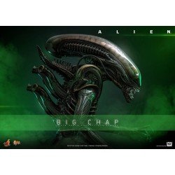Alien Movie Masterpiece Action Figure 1/6 Big Chap 36 cm | 4895228622556