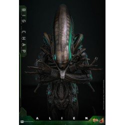 Alien figurine Movie Masterpiece 1/6 Big Chap 36 cm | 4895228622556