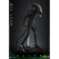 Alien figurine Movie Masterpiece 1/6 Big Chap 36 cm | 4895228622556