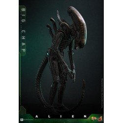 Alien figurine Movie Masterpiece 1/6 Big Chap 36 cm | 4895228622556