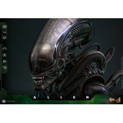Alien figurine Movie Masterpiece 1/6 Big Chap 36 cm | 4895228622556