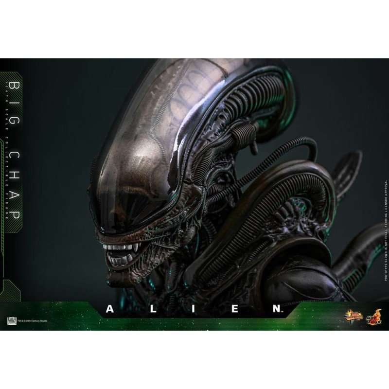 Alien figurine Movie Masterpiece 1/6 Big Chap 36 cm | 4895228622556