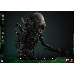 Alien figurine Movie Masterpiece 1/6 Big Chap 36 cm | 4895228622556
