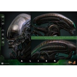 Alien figurine Movie Masterpiece 1/6 Big Chap 36 cm | 4895228622556