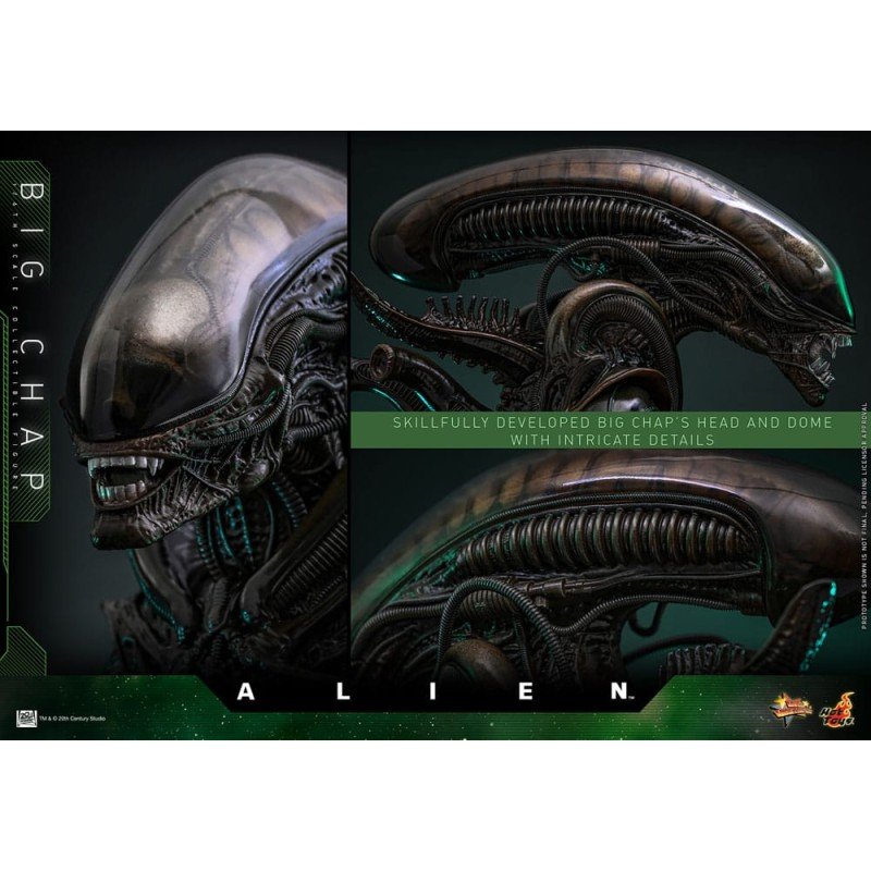 Alien figurine Movie Masterpiece 1/6 Big Chap 36 cm | 4895228622556