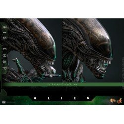 Alien figurine Movie Masterpiece 1/6 Big Chap 36 cm | 4895228622556