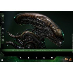 Alien figurine Movie Masterpiece 1/6 Big Chap 36 cm | 4895228622556