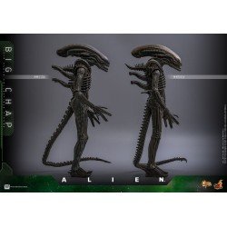 Alien figurine Movie Masterpiece 1/6 Big Chap 36 cm | 4895228622556