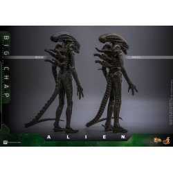 Alien figurine Movie Masterpiece 1/6 Big Chap 36 cm | 4895228622556