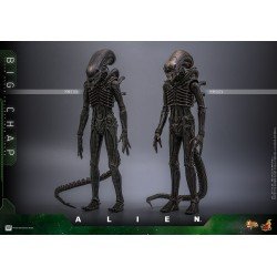 Alien figurine Movie Masterpiece 1/6 Big Chap 36 cm | 4895228622556