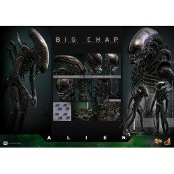 Alien figurine Movie Masterpiece 1/6 Big Chap 36 cm | 4895228622556