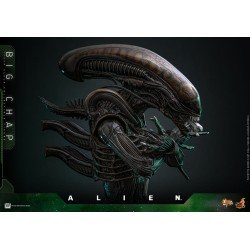 Alien figurine Movie Masterpiece 1/6 Big Chap 36 cm | 4895228622556
