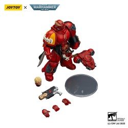 Warhammer 40,000: Combat Patrol Blood Angels figurine Captain with Inferno Pistol & Power Fist 20 cm | 6927054401772