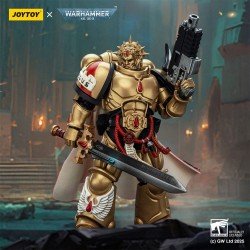 Warhammer 40,000: Combat Patrol Blood Angels figurine Captain with Heavy Bolt Pistol & Power Sword 20 cm | 6927054401796