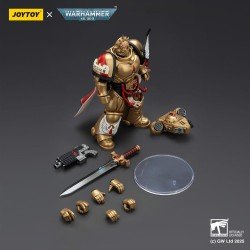 Warhammer 40,000: Combat Patrol Blood Angels figurine Captain with Heavy Bolt Pistol & Power Sword 20 cm | 6927054401796