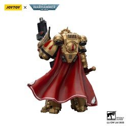 Warhammer 40,000: Combat Patrol Blood Angels figurine Captain with Heavy Bolt Pistol & Power Sword 20 cm | 6927054401796
