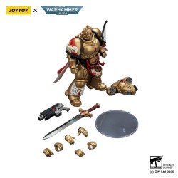 Warhammer 40,000: Combat Patrol Blood Angels figurine Captain with Heavy Bolt Pistol & Power Sword 20 cm | 6927054401796