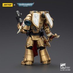 Warhammer 40,000: Combat Patrol Blood Angels figurine Sanguinary Guard 1 with Inferno Pistol and Encarmine Blade 20 cm | 6927054401840