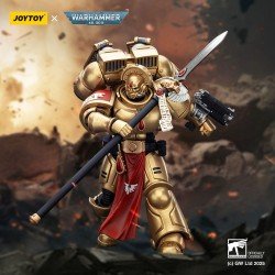Warhammer 40,000: Combat Patrol Blood Angels figurine Sanguinary Guard 2 with Angelus Boltgun and Encarmine Spear 20 cm | 6927054401857