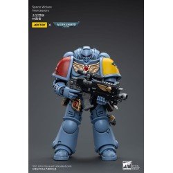 Warhammer 40k figurine 1/18 Space Wolves Intercessors 12 cm | 6973130376625