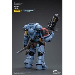 Warhammer 40k figurine 1/18 Space Wolves Intercessors 12 cm | 6973130376625
