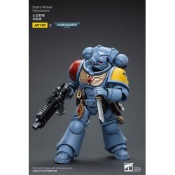 Warhammer 40k figurine 1/18 Space Wolves Intercessors 12 cm | 6973130376625