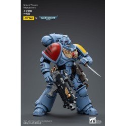 Warhammer 40k Action Figure 1/18 Space Wolves Intercessors 12 cm | 6973130376625