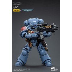 Warhammer 40k figurine 1/18 Space Wolves Intercessors 12 cm | 6973130376625