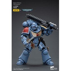 Warhammer 40k figurine 1/18 Space Wolves Intercessors 12 cm | 6973130376625