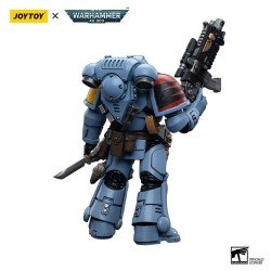 Warhammer 40k figurine 1/18 Space Wolves Intercessors 12 cm | 6973130376625