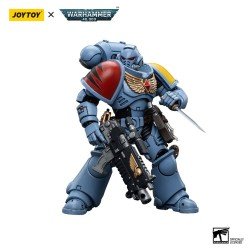Warhammer 40k figurine 1/18 Space Wolves Intercessors 12 cm | 6973130376625