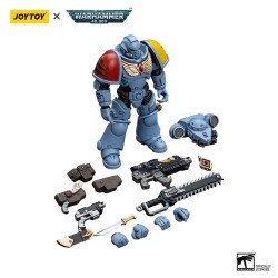 Warhammer 40k Action Figure 1/18 Space Wolves Intercessors 12 cm | 6973130376625