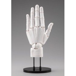 Takahiro Kagami PVC Artist Support Item Hand 1/1 Model Men /L White 22 cm | 4934054067299
