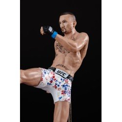 UFC Posed statuette Max Holloway 18 cm | 0787926104431