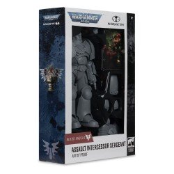Warhammer 40,000 figurine Assault Intercessor Sergeant (Blood Angel) (Artist Proof) 18 cm | 0787926109498