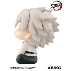 Demon Slayer Kimetsu no Yaiba Look Up PVC Statue Shinazugawa Sanemi 11 cm | 4535123845529