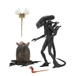 Accueil | MagicFranco 