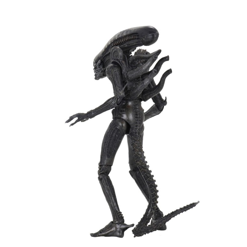 Alien 1979 figurine Ultimate 40th Anniversary Big Chap 23 cm | 0634482516461