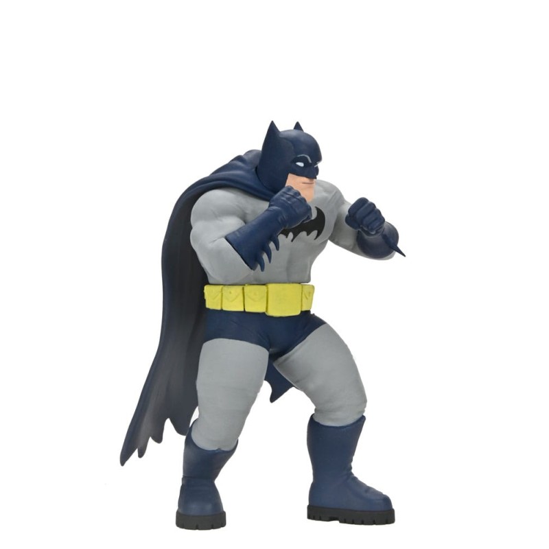 DC Comics assortiment figurines Series 2 15 cm (12) | 0634482616130