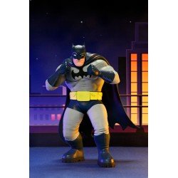 DC Comics assortiment figurines Series 2 15 cm (12) | 0634482616130