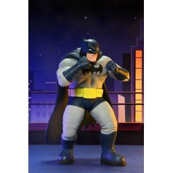 DC Comics assortiment figurines Series 2 15 cm (12) | 0634482616130